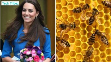 Kate Middleton Beekeeping Hobby