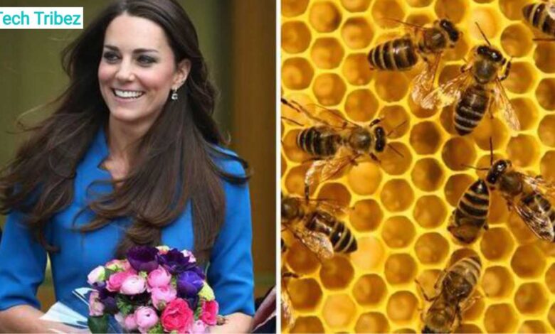 Kate Middleton Beekeeping Hobby