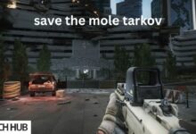 save the mole tarkov