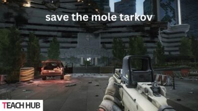 save the mole tarkov